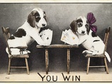 You Win