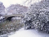 Snow at Bow Bridge in Central Park