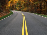 Road Through Autumn Forest