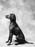 Sitting Dog
