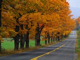 Rural Road in Autumn