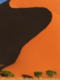 Sand Dune in Namib Desert