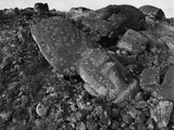 Moai Lies on Rocks and Boulders