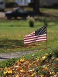 Small American Flag Posted in Yard