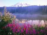 Wildflowers in Bloom by Lake on Mount Rainier