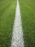 Painted Line on Athletic Field
