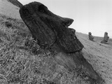 Moai Lying on the Ground