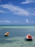Rowboats in Shallow Water