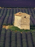 Stone Structure in Lavender Field