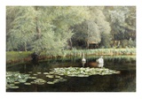The Lily Pond