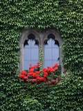 Window of Regensburg Town Hall