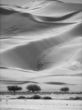 Sossusvlei Sand Dunes