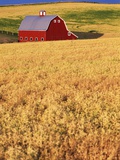 Red Barn on Rolling Hills