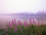 Reflection Lake at Sunrise