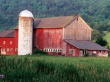 Older Barn With Silo in Lush Greenery
