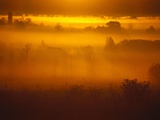 Early Morning Mist
