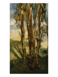 Study of Trees