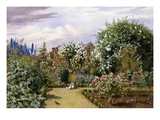 In the Time of Roses