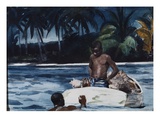West Indian Divers