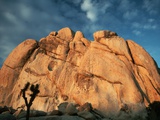 Joshua Tree and Cliffs