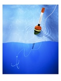 Floater and Hook in Water