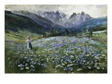An Alpine Meadow