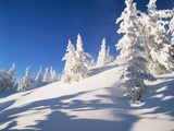 Sunshine and Snow in Arizona Mountains