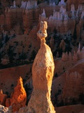 Hoodoos in Bryce Canyon National Park
