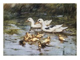 A Family Outing