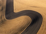 Wheat Fields on Palouse Hills