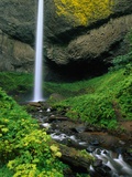 Latourell Falls in Columbia River Gorge