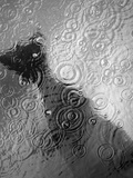 Raindrop Ripples on Fish Underwater
