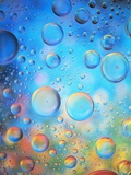 Water Drops