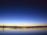 Sunset over Snow Geese on Water