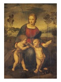 Madonna of the Goldfinch