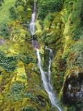 Waterfall on Moss-Covered Cliff