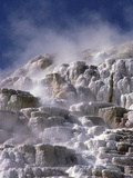 Mammoth Hot Springs