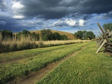 Wagon Tracks Along the Oregon Trail