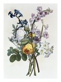 Bouquet of Rose  Narcissus and Hyacinth