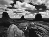 Desert Mesas