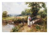 Gathering Poppies Near Winchester  England