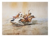 Indian Horse Race No 4