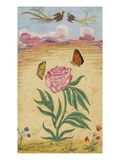 Mughal Miniature Painting Depicting a Peony with Birds of Paradise and Butterflies