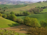 Countryside in Val d'Orcia
