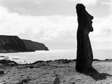 Moai by the Seashore