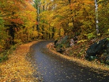 New England Road in Autumn