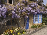 Wisteria-Covered Cottage