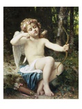 Cupid's Arrows
