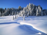 Wolf Creek Pass in Winter