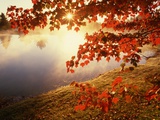 Sunrise Through Autumn Leaves